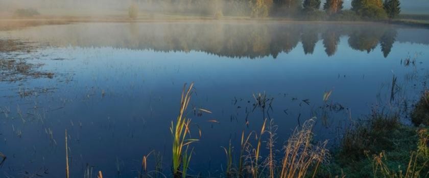 Foto der Weiherwiesen